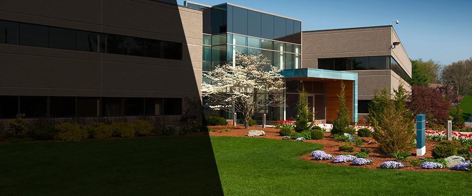 Mascotte Landscapers