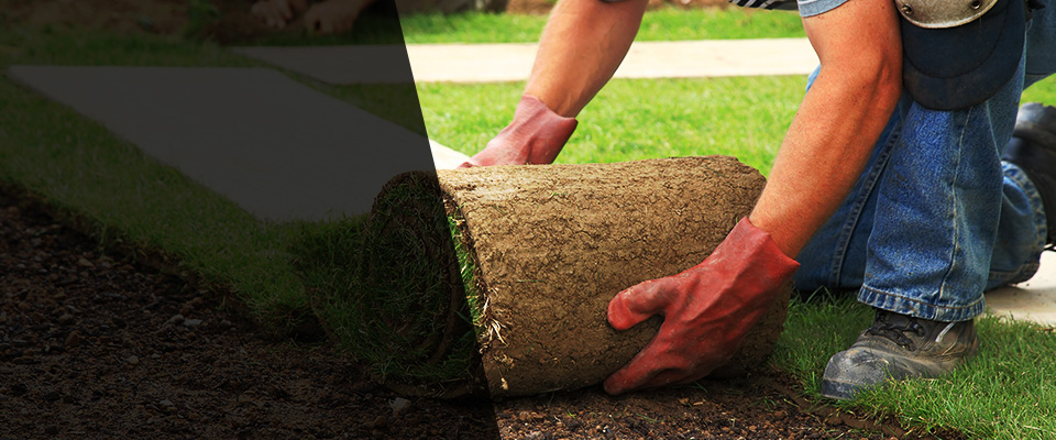 Mascotte Landscapers